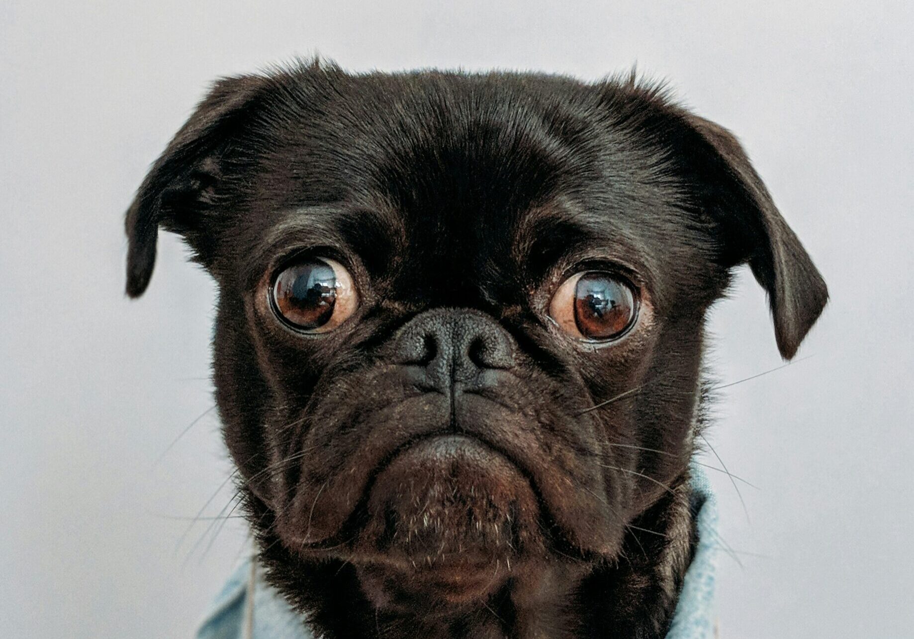 charlesdeluvio-K4mSJ7kc0As-unsplash